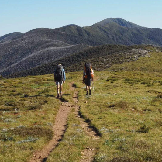 Mount Feathertop