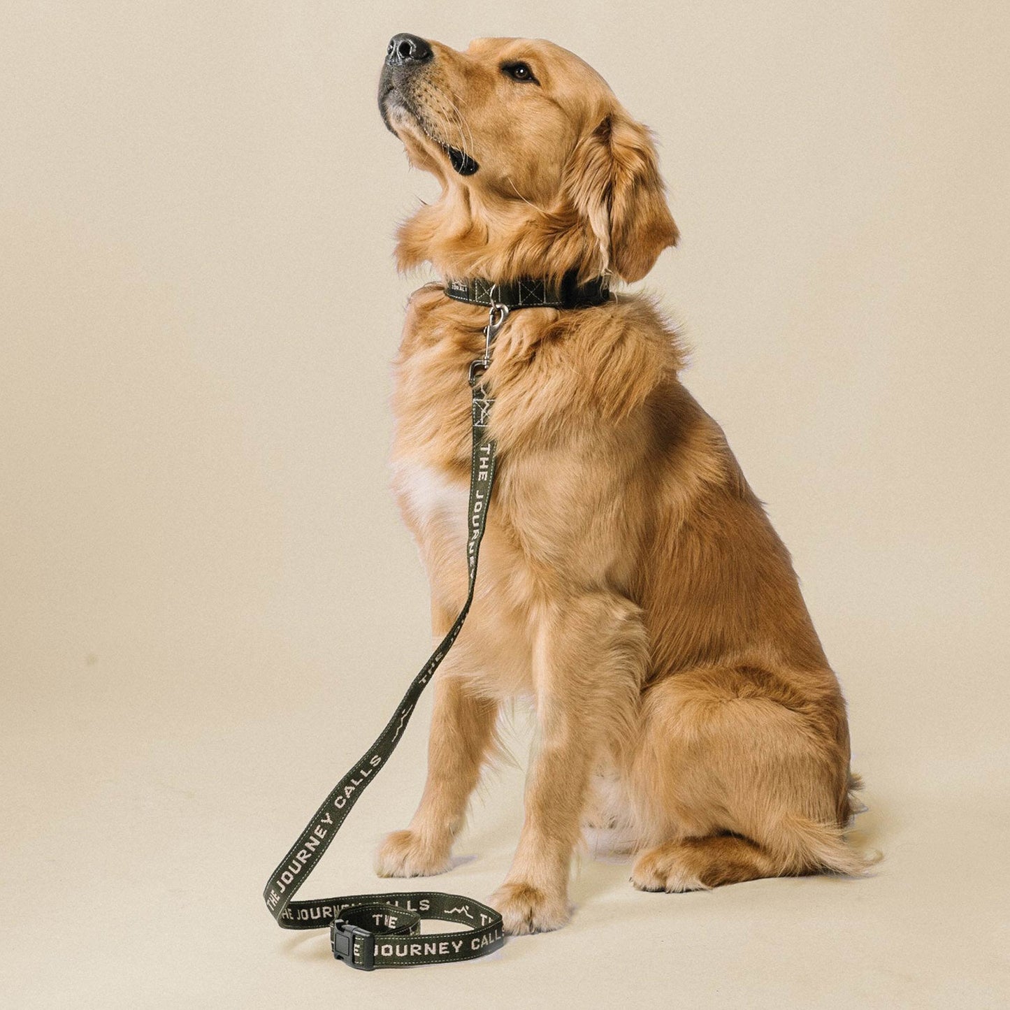 Downward Dog Leash